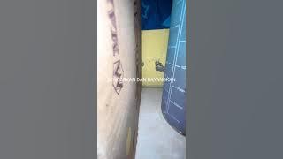 UNBOXING PSK GADIS MUDA