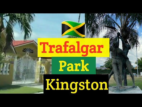 trafalgar travel kingston jamaica