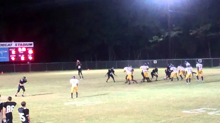 Zach Massengale punting