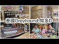 2023/8/5🐕‍🦺🦐 泰國時裝／飲食品牌Greyhound的由來。帶冬蔭表妹、新版「冲為糊」食好西！ ~✹香港旅遊達人Roger Wu胡慧冲 泰國實食報告 ( Siam Center店 )