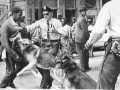 Birmingham 1963: The Fight for Civil Rights and the Power of Youth Activism