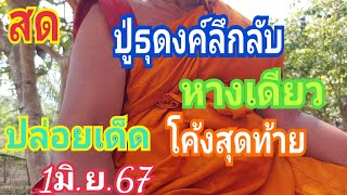 สดปู่ธุดงค์หางเดียวโค้งสุดท้าย 1/06/67