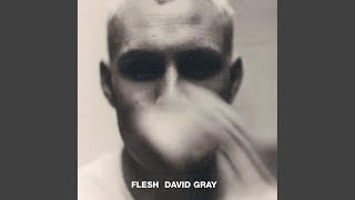 Video thumbnail of "David Gray - Made Up My Mind"