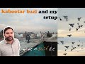 Kabootar bazi and my setup  pigeons