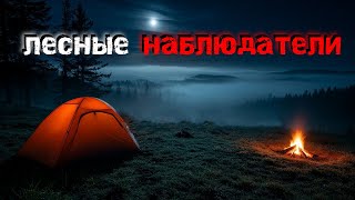 картинка: 4 страшные истории о Жутких Встречах в Глуши