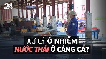 Những bất cập xử lý ô nhiễm nước thải cảng cá | VTV24