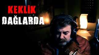 KEKLİK DAĞLARDA Resimi