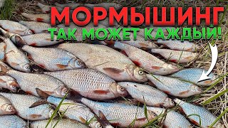 МОРМЫШИНГ. Секреты ловли мирной рыбы на спиннинг