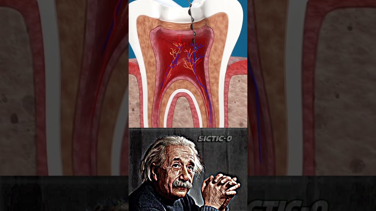 sigma physics teacher 🗿