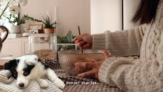 Winter diaries with my puppy