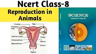 Reproduction in animals-science || Ncert class 8 Reproduction in animals-science || Ncert class 8