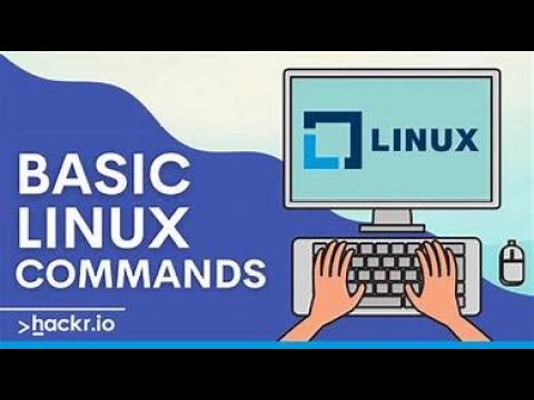 Linux basic commands - YouTube