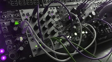 Mesonyx | Morphagene QPAS Mimeophon