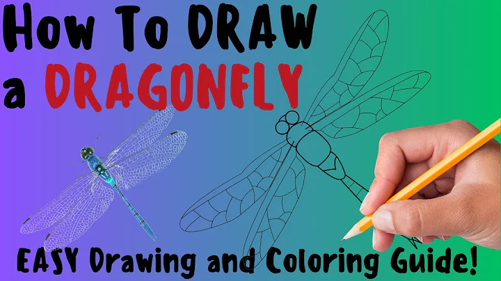 How To Draw a Dragonfly - EASY Drawing and Coloring Lesson