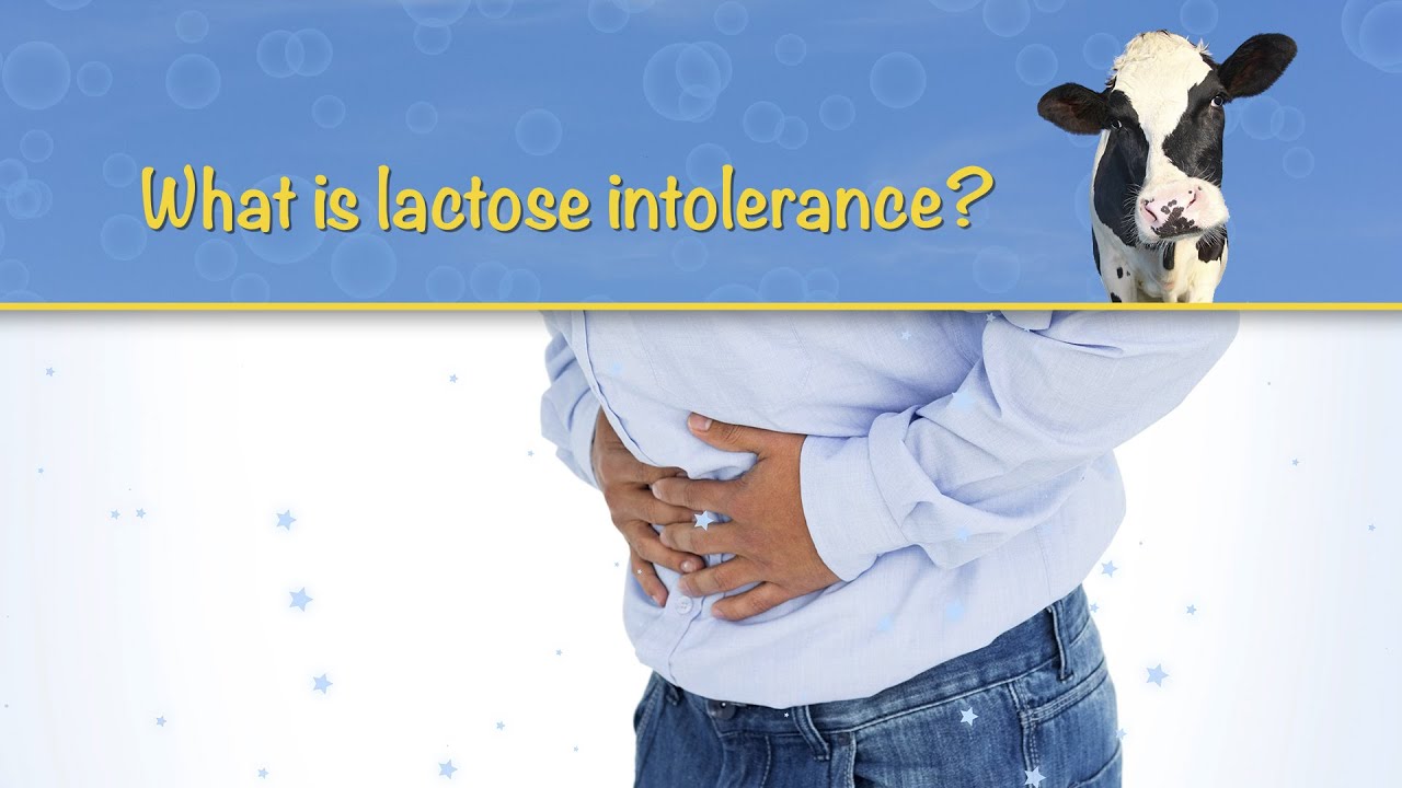 What is lactose intolerance?