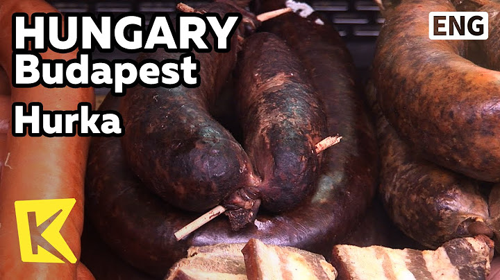 【K】Hungary Travel- Budapest[헝가리 여행-부다페스트]헝가리 순대 ‘후르까’/Hurka/Butchers shop/Hungarian sausages/Food