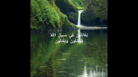 الآية 111 من سورة التوبة بصوت الشيخ سامي الغربي #فلسطين #شهدائنا_فخرنا