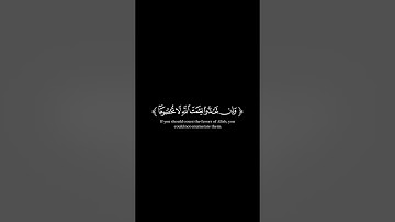 اكتب شيء تؤجر عليه 😊🤍🎧القرآن الكريم شاشة سوداء