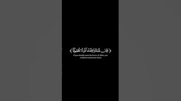 اكتب شيء تؤجر عليه 😊🤍🎧القرآن الكريم شاشة سوداء