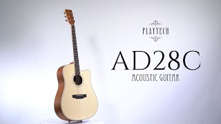 AD28C アコースティックギター / PLAYTECH