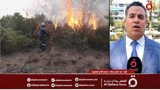تواصل حرائق الغابات في اليونان والسلطات تؤكد صعوبة السيطرة على الحريق.. التفاصيل مع مراسلنا