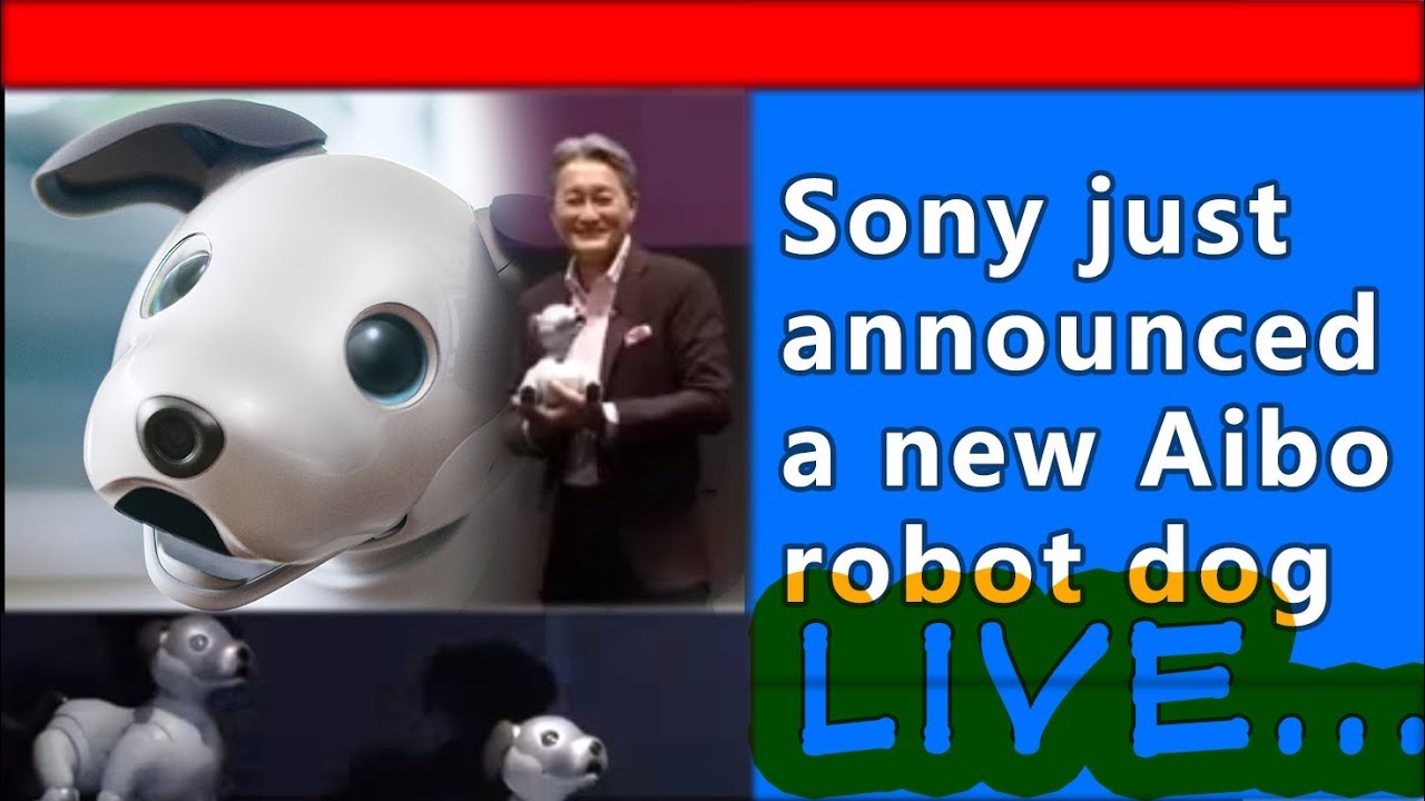 Sony представила новую версию цифровой собаки Aibo. Фото.