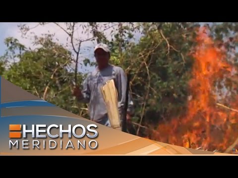 Video: ¿Se puede quemar maleza en el condado de bernalillo?