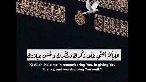 و اذكروا الله في أيام معدودات تلاوات قرانية #ماهر_المعقيلي #سورة_البقرة #حج #الحج #ذي_الحجة