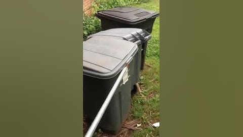 Squirrel flies out of trash can