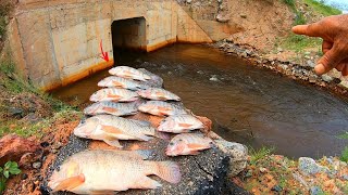 Descobri porque tem bastante tilápias neste lugar, muita agua nova descendo para o rio. Pescaria.