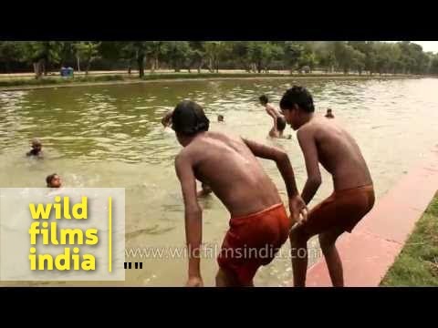 Young boys jump into the India Gate pond, in summer