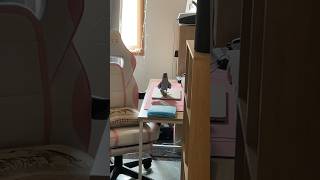 Its Important To Appreciate The Appliances In The House.