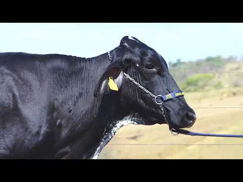 LOTE 12 3304 BY