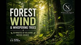🌲 Forest Wind & Whispering Trees 🍃 | 30 Minutes of Relaxing Nature Sounds for Sleep & Study