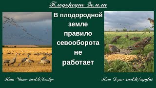 видео: Севооборот противоречит законам Природы №836/25 картинка: Севооборот противоречит законам Природы №836/25