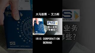 IRIS的核心业务是什么？