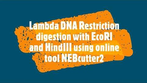 Phage Lambda DNA restriction digestion with EcoRI and HindIII enzymes using online tool NEBcutter v2