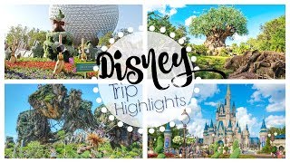 DISNEY TRIP RECAP 2019 | GALAXY'S EDGE, TRON & SKYLINER PROGRESS | SWITCHING RESORT ROOMS & MORE