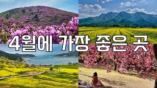 4월에 꼭 가봐야하는 곳 Best 10 | 4월 산행지 추천