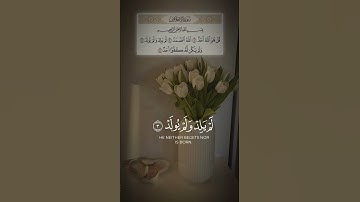 قراءة سورة الإخلاص ثلاث مرات تعدل ثلث القرآن في الأجر #قرآن #المصحف #الإخلاص #تلاوات #اكسبلور #ترند