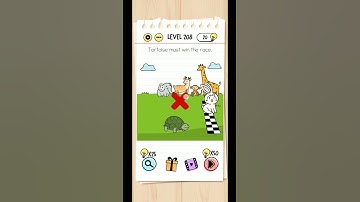 Brain Test Level 208 Walkthrough