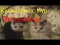 Кулинария с Мур: Пельмеши