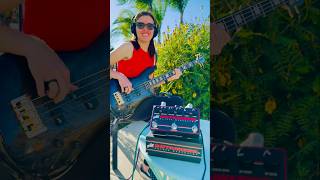 Grooving in the garden with the Aguilar Octamizer DLX! 🌼🎛️🔥 #aguilaramp #basspedals #spectorbass