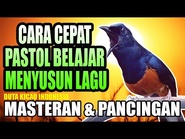 HOW TO QUICKLY PASTOL MURAI STONE LEARN TO COMPLETE SONG || EFFECTIVE MASTERS FOR BEGINNERS class=