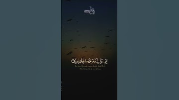 بداية سورة #الحديد #تلاوة_خاشعة 💔🥺🎧 #quran #المنشاوي