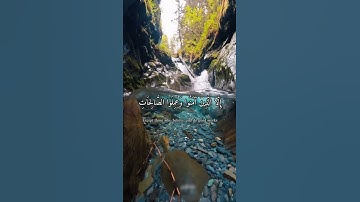 القارئ محمد الفقيه سورة العصر