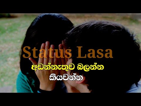 Featured image of post Whatsapp Status Sinhala Wadan Download Finding an online source to download punjabi status video is not a big deal these days