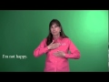 Sign Language - Level 1: Negative Forms
