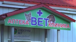 Место, где понимают животных Место, где понимают животных