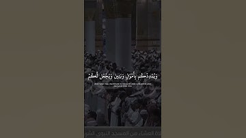 #سورة_نوح #أحمد_بن_طالب